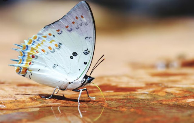 Tử vi tiết lộ 5 khung giờ sinh được coi l&agrave; 'mệnh c&oacute; của' - Ảnh 4.