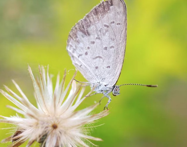 Tử vi tiết lộ 5 khung giờ sinh được coi l&agrave; 'mệnh c&oacute; của' - Ảnh 5.