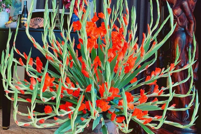 C&aacute;ch cắm hoa ng&agrave;y Tết đẹp, đơn giản mang lại may mắn cho gia chủ - Ảnh 3.