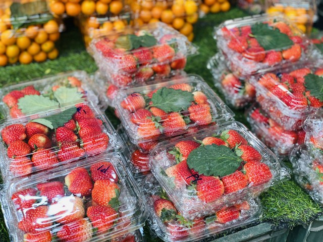 Loại quả trước đ&acirc;y chỉ &ldquo;nh&agrave; gi&agrave;u&rdquo; mới d&aacute;m ăn giờ b&aacute;n đầy vỉa h&egrave; gi&aacute; rẻ kh&oacute; tin - Ảnh 4.