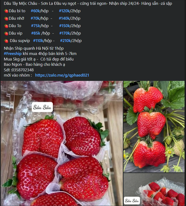Loại quả trước đ&acirc;y chỉ &ldquo;nh&agrave; gi&agrave;u&rdquo; mới d&aacute;m ăn giờ b&aacute;n đầy vỉa h&egrave; gi&aacute; rẻ kh&oacute; tin - Ảnh 2.
