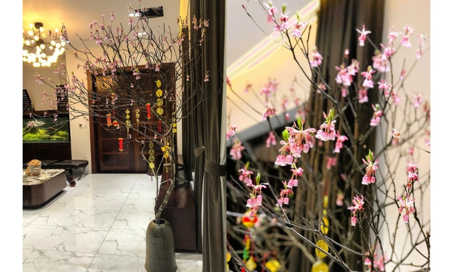 &Yacute; tưởng mẫu b&igrave;nh hoa d&aacute;ng chu&ocirc;ng cắm c&agrave;nh đ&agrave;o ng&agrave;y Tết  - Ảnh 4.