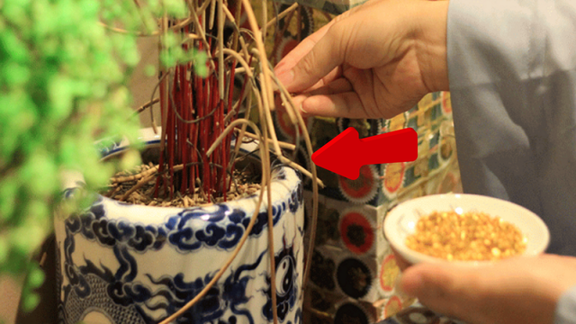 Thực hư mất lộc nếu tỉa ch&acirc;n nhang tr&ecirc;n b&agrave;n thờ gia ti&ecirc;n ng&agrave;y Tết - Ảnh 3.