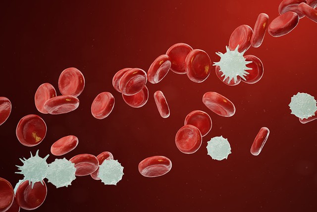 Tế b&agrave;o ung thư h&igrave;nh th&agrave;nh thế n&agrave;o trong cơ thể? Người Việt cần hiểu đ&uacute;ng để ngăn ngừa từ sớm - Ảnh 2.