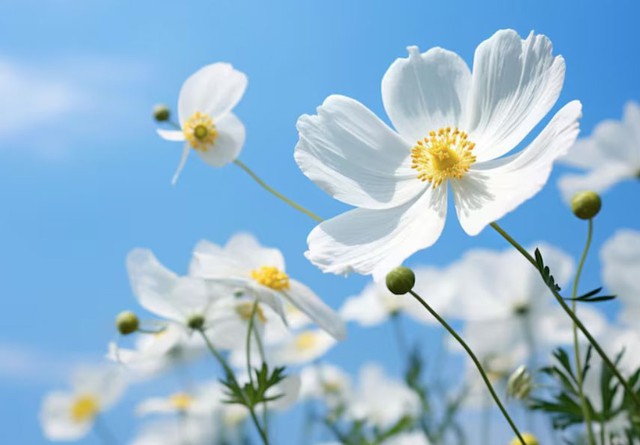 Sinh v&agrave;o c&aacute;c ng&agrave;y &Acirc;m lịch n&agrave;y thường c&oacute; tư duy sắc b&eacute;n, sự nghiệp kh&oacute; ai b&igrave; kịp - Ảnh 1.