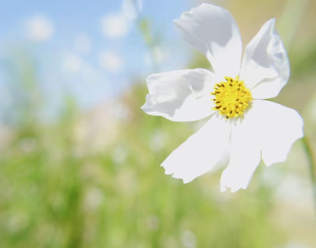 Sinh v&agrave;o c&aacute;c ng&agrave;y &Acirc;m lịch n&agrave;y thường c&oacute; tư duy sắc b&eacute;n, sự nghiệp kh&oacute; ai b&igrave; kịp - Ảnh 2.