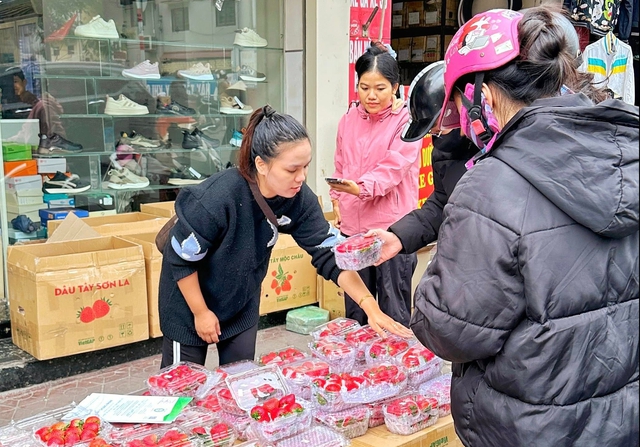 Tiểu thương l&yacute; giải nguy&ecirc;n nh&acirc;n gi&aacute; d&acirc;u t&acirc;y rẻ bất ngờ, 'nhuộn đỏ' chợ Việt - Ảnh 2.