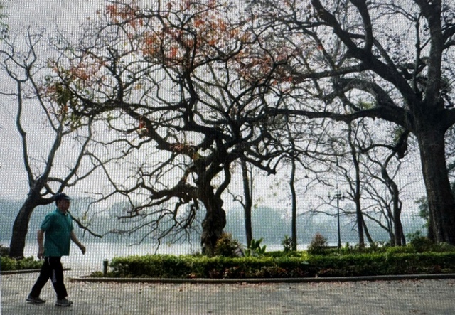 Tin s&aacute;ng 24/1: Miền Bắc ấm dần từ nay đến cuối th&aacute;ng 1; 10 h&agrave;nh vi bị coi l&agrave; trốn thuế theo quy định mới - Ảnh 1.