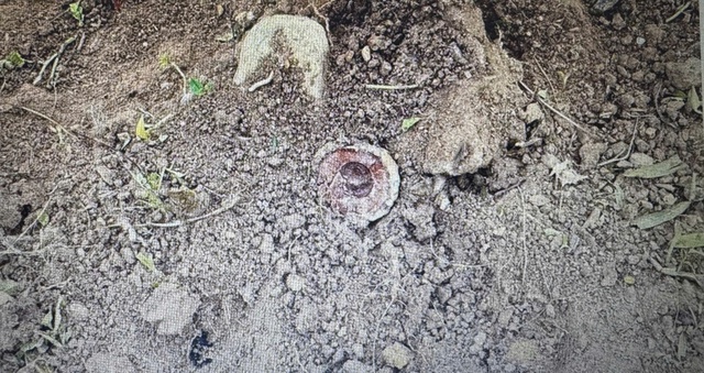 Tin s&aacute;ng 24/1: Miền Bắc ấm dần từ nay đến cuối th&aacute;ng 1; 10 h&agrave;nh vi bị coi l&agrave; trốn thuế theo quy định mới - Ảnh 6.