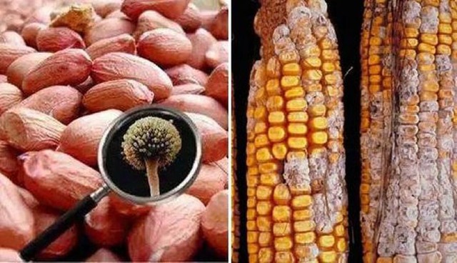 2 loại thực phẩm được xem l&agrave; 's&aacute;t thủ' của gan, nhiều người Việt vẫn ăn hằng ng&agrave;y m&agrave; kh&ocirc;ng hay biết - Ảnh 3.