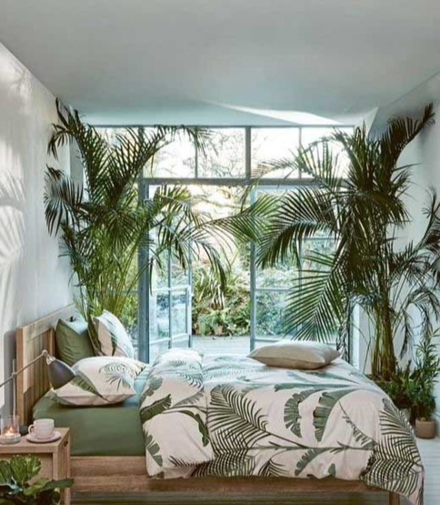 C&aacute;ch chọn c&acirc;y trồng phong thủy trong ph&ograve;ng ngủ để lu&ocirc;n c&oacute; một giấc ngủ ngon - Ảnh 4.