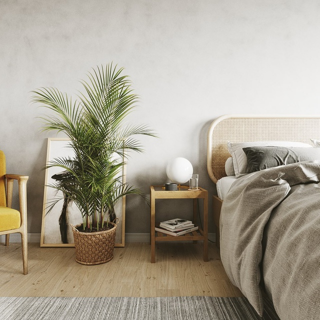 C&aacute;ch chọn c&acirc;y trồng phong thủy trong ph&ograve;ng ngủ để lu&ocirc;n c&oacute; một giấc ngủ ngon - Ảnh 2.