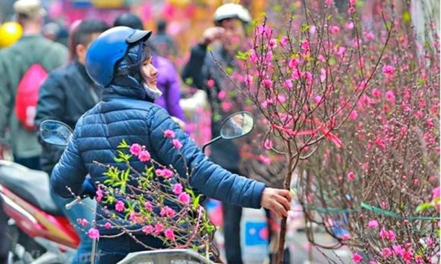 Thời tiết Tết Nguy&ecirc;n đ&aacute;n B&iacute;nh Ngọ: R&eacute;t đậm , r&eacute;t hại c&oacute; xảy ra kh&ocirc;ng? - Ảnh 2.