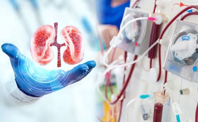 Loại củ mùa đông bán rẻ ở chợ Việt nhưng người bệnh suy thận cần hiểu rõ điều này - Ảnh 2. Loại củ mùa đông bán rẻ ở chợ Việt nhưng người bệnh suy thận cần hiểu rõ điều này - Ảnh 2.