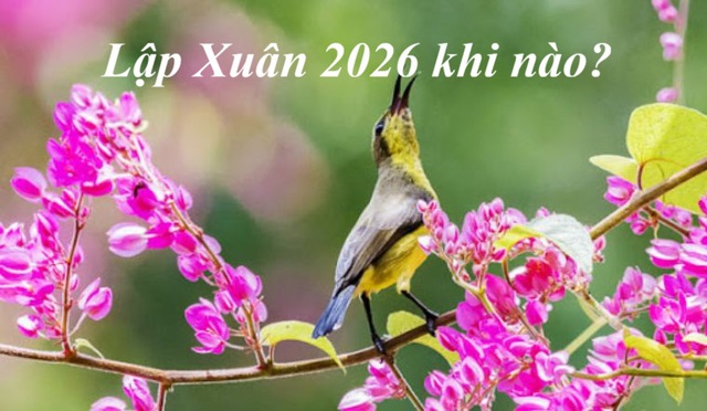 Lập Xu&acirc;n 2026 v&agrave; phong thủy: B&iacute; quyết đ&oacute;n năm mới t&agrave;i lộc , hanh th&ocirc;ng - Ảnh 2.