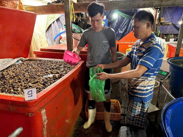 Cận cảnh C&ocirc;ng an TPHCM triệt ph&aacute; đường d&acirc;y d&ugrave;ng 500 tấn h&oacute;a chất 'ph&ugrave; ph&eacute;p' 3.000 tấn thịt ốc b&aacute;n ra thị trường - Ảnh 3.