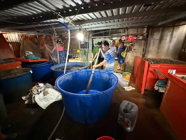 Cận cảnh C&ocirc;ng an TPHCM triệt ph&aacute; đường d&acirc;y d&ugrave;ng 500 tấn h&oacute;a chất 'ph&ugrave; ph&eacute;p' 3.000 tấn thịt ốc b&aacute;n ra thị trường - Ảnh 4.