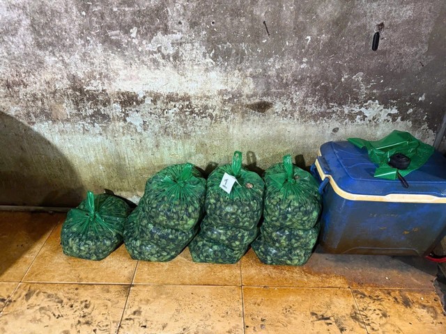 Cận cảnh C&ocirc;ng an TPHCM triệt ph&aacute; đường d&acirc;y d&ugrave;ng 500 tấn h&oacute;a chất 'ph&ugrave; ph&eacute;p' 3.000 tấn thịt ốc b&aacute;n ra thị trường - Ảnh 5.