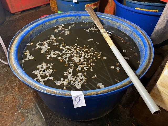 Cận cảnh C&ocirc;ng an TPHCM triệt ph&aacute; đường d&acirc;y d&ugrave;ng 500 tấn h&oacute;a chất 'ph&ugrave; ph&eacute;p' 3.000 tấn thịt ốc b&aacute;n ra thị trường - Ảnh 10.