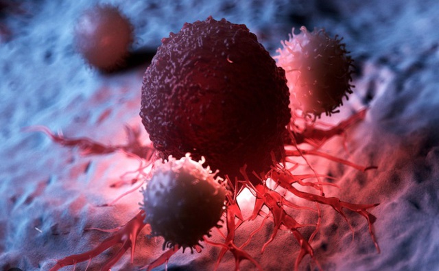 Để ngăn chặn sự h&igrave;nh th&agrave;nh v&agrave; ph&aacute;t triển của tế b&agrave;o ung thư, bạn cần hiểu r&otilde; cơ chế h&igrave;nh th&agrave;nh, duy tr&igrave; lối sống khoa học v&agrave; nhận diện sớm dấu hiệu bất thường... - Ảnh 2.