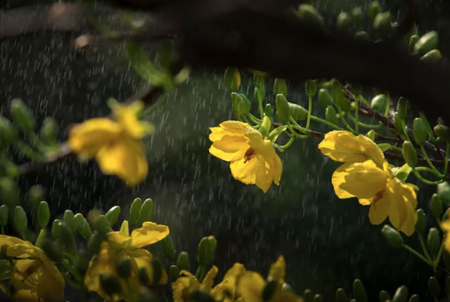 Điều hiếm gặp ở Tết Nguy&ecirc;n đ&aacute;n 2026: M&ugrave;ng 1 v&agrave; m&ugrave;ng 2 Tết thuộc 2 tiết kh&iacute; kh&aacute;c nhau - Ảnh 3.