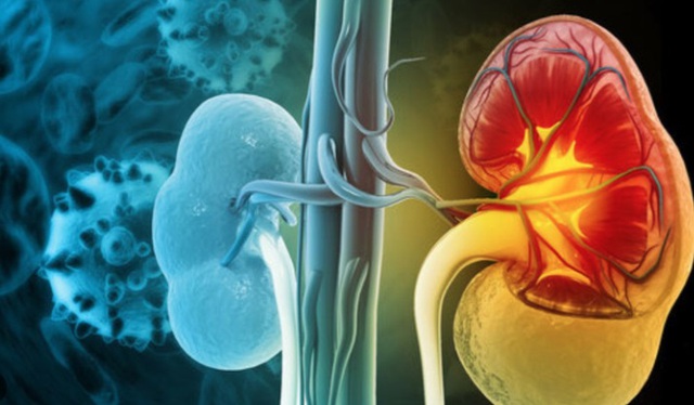 Người suy thận nên ăn hoa quả gì để tránh tăng kali, bảo vệ chức năng thận? - Ảnh 3. Người suy thận nên ăn hoa quả gì để tránh tăng kali, bảo vệ chức năng thận? - Ảnh 3.