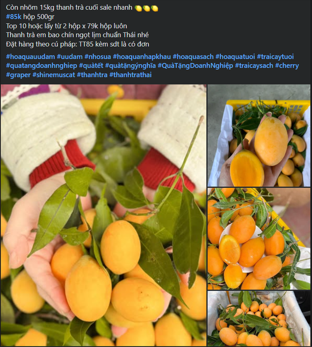 Chợ Việt bán một loại quả vàng ươm, thơm nức được ví như thuốc bổ khiến chị em thi nhau “săn đón” - Ảnh 2. Chợ Việt bán một loại quả vàng ươm, thơm nức được ví như thuốc bổ khiến chị em thi nhau “săn đón” - Ảnh 2.