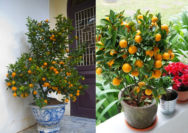 Phong tục Tết Việt Nam theo từng v&ugrave;ng miền - Ảnh 2.