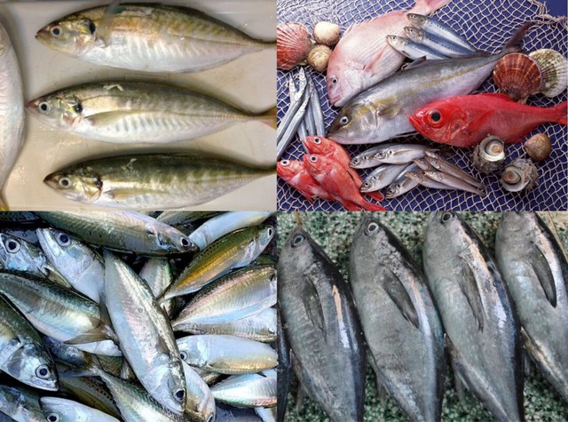 Nguy&ecirc;n tắc v&agrave;ng trong ăn uống m&ugrave;a Tết gi&uacute;p bạn khỏe mạnh  - Ảnh 4.