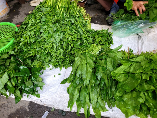 Loại rau mùa đông gặp ở ngoài chợ đừng bỏ qua vì giàu canxi, tốt cho xương khớp, hỗ trợ giấc ngủ, ít phun thuốc - Ảnh 2. Loại rau mùa đông gặp ở ngoài chợ đừng bỏ qua vì giàu canxi, tốt cho xương khớp, hỗ trợ giấc ngủ, ít phun thuốc - Ảnh 2.