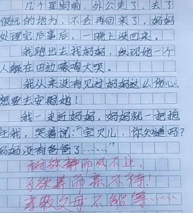 Bài văn 'không còn bố nữa' của cậu bé lớp 2 khiến hàng triệu người bật khóc - Ảnh 1. Bài văn 'không còn bố nữa' của cậu bé lớp 2 khiến hàng triệu người bật khóc - Ảnh 1.