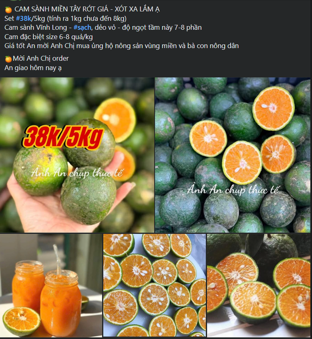 Một loại cam Việt đổ đống bán đầy chợ giá rẻ hơn rau, chỉ vài nghìn đồng/kg - Ảnh 3. Một loại cam Việt đổ đống bán đầy chợ giá rẻ hơn rau, chỉ vài nghìn đồng/kg - Ảnh 3.