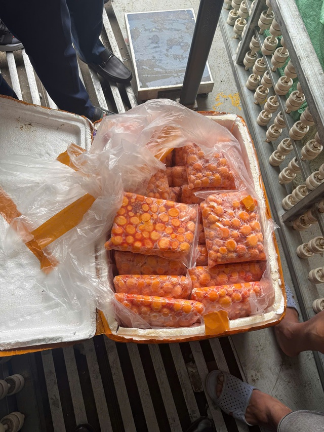 Hà Nội: Chặn đứng 3 xe container chở hơn 12 tấn 'đặc sản' sụn gà, trứng non không rõ nguồn gốc - Ảnh 2. Hà Nội: Chặn đứng 3 xe container chở hơn 12 tấn 'đặc sản' sụn gà, trứng non không rõ nguồn gốc - Ảnh 2.