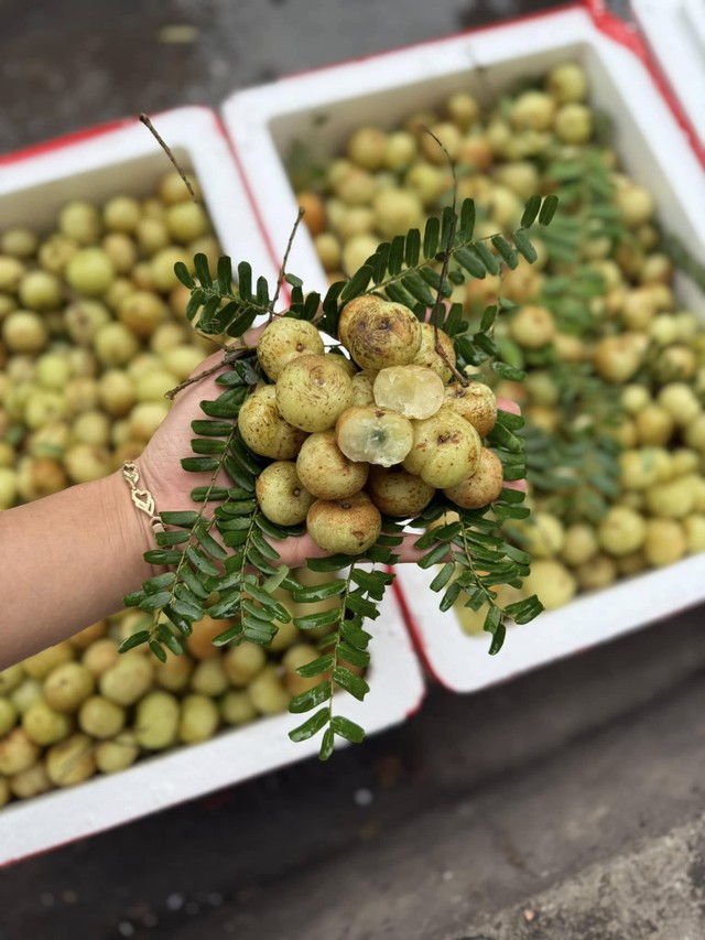 Tiểu thương chia sẻ nguồn gốc thực sự của loại quả &ldquo;lạ&rdquo; đang b&aacute;n tr&agrave;n ngập thị trường - Ảnh 1.