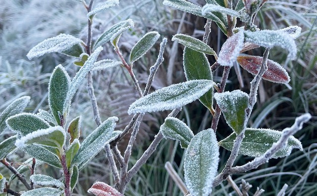 12 Lọai giấy tờ không nên lưu trong điện thọai và quy định giao thông Hà Nội - Ảnh 6. 12 Lọai giấy tờ không nên lưu trong điện thọai và quy định giao thông Hà Nội - Ảnh 6.