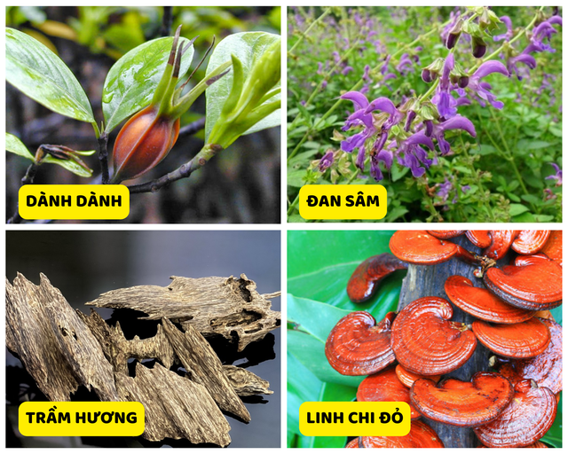 Suy thận độ 1 - Nhận biết thế n&agrave;o, cải thiện ra sao? - Ảnh 4.