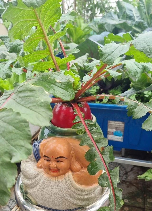 Củ cải đỏ chưng Tết độc lạ: Trang tr&iacute; kh&ocirc;ng gian sống th&ecirc;m may mắn - Ảnh 2.