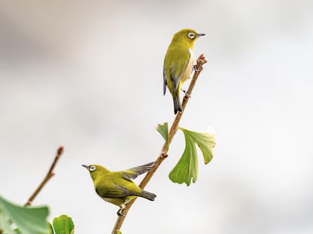 Ng&agrave;y sinh &Acirc;m lịch của người kh&ocirc;ng ngừng nỗ lực, gi&agrave;u c&oacute; chỉ l&agrave; vấn đề thời gian - Ảnh 2.