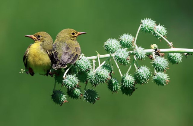 Ng&agrave;y sinh &Acirc;m lịch của người kh&ocirc;ng ngừng nỗ lực, gi&agrave;u c&oacute; chỉ l&agrave; vấn đề thời gian - Ảnh 3.