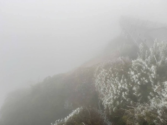Video: Nhiệt độ giảm sâu -3 độ, băng giá phủ kín đỉnh Fansipan - Ảnh 1. Video: Nhiệt độ giảm sâu -3 độ, băng giá phủ kín đỉnh Fansipan - Ảnh 1.