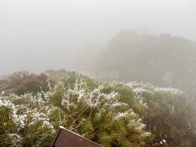 Video: Nhiệt độ giảm sâu -3 độ, băng giá phủ kín đỉnh Fansipan - Ảnh 5. Video: Nhiệt độ giảm sâu -3 độ, băng giá phủ kín đỉnh Fansipan - Ảnh 5.