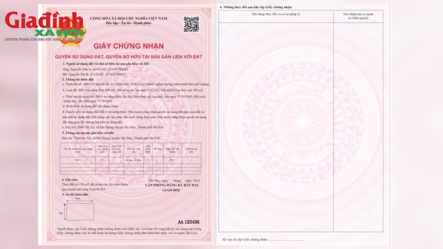 Chữ 'T' tr&ecirc;n bản đồ địa ch&iacute;nh l&agrave; k&yacute; hiệu của loại đất n&agrave;o? - Ảnh 1.