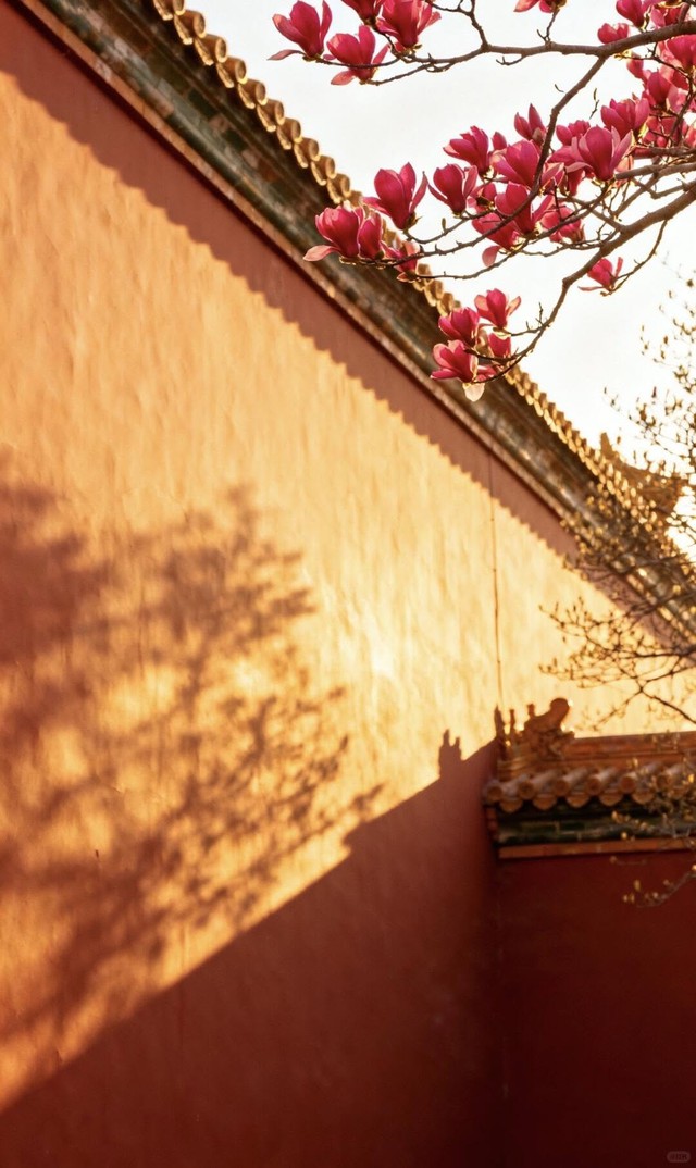 Giờ sinh &Acirc;m lịch của người tốt t&iacute;nh, đi đ&acirc;u cũng được y&ecirc;u qu&yacute; - Ảnh 1.