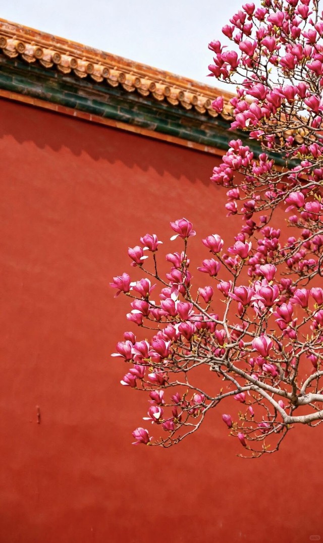 Giờ sinh &Acirc;m lịch của người tốt t&iacute;nh, đi đ&acirc;u cũng được y&ecirc;u qu&yacute; - Ảnh 3.