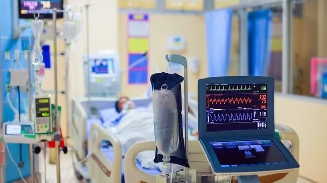 B&atilde;o Champi &iacute;t c&oacute; khả năng v&agrave;o Biển Đ&ocirc;ng; TPHCM c&oacute; 2.462 c&aacute;n bộ quản l&yacute; chuyển sang l&agrave;m gi&aacute;o vi&ecirc;n - Ảnh 3.