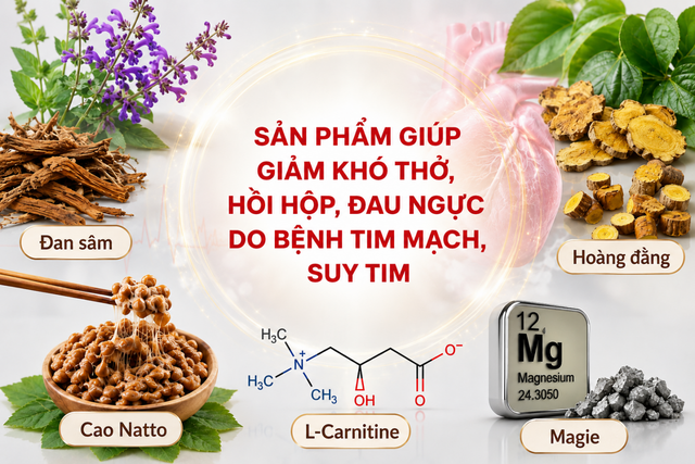 Tim phải "gồng m&igrave;nh" mỗi ng&agrave;y ra sao khi chức năng bơm m&aacute;u suy giảm? - Ảnh 3.