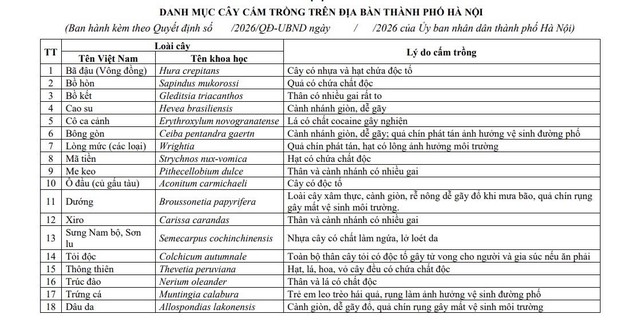 Tin sáng 21/10: Miền Bắc đón không khí lạnh; Hà Nội chốt mức trần tiền ăn bữa trưa bán trú - Ảnh 3.