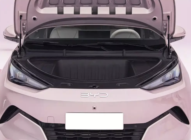 Rẻ hơn Kia Morning, hatchback gi&aacute; 255 triệu đồng đẹp long lanh, mạnh 127 m&atilde; lực, phạm vi hoạt động 420 km chị em nh&igrave;n l&agrave; m&ecirc; - Ảnh 3.
