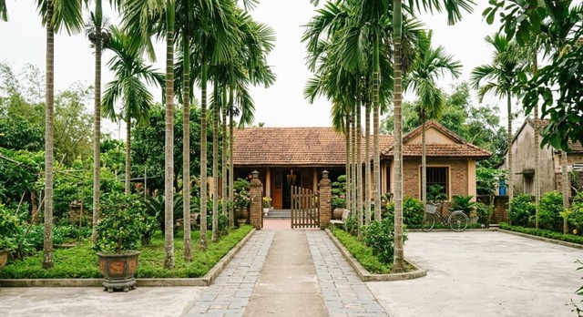 Lo&agrave;i c&acirc;y hấp thụ độc tố v&agrave; bụi bẩn lại mang &yacute; nghĩa b&igrave;nh an trong cuộc sống  - Ảnh 1.