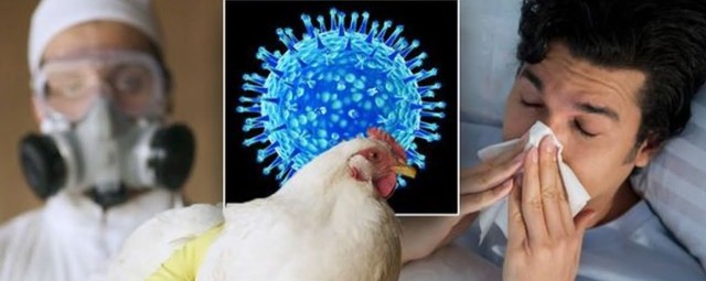 Vì sao cúm A vẫn có thể nguy hiểm dù chỉ sốt nhẹ và có thể gây suy hô hấp như thế nào? - Ảnh 1.